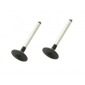 Ventili za pitbike YX150/160 in ZS155 28/23